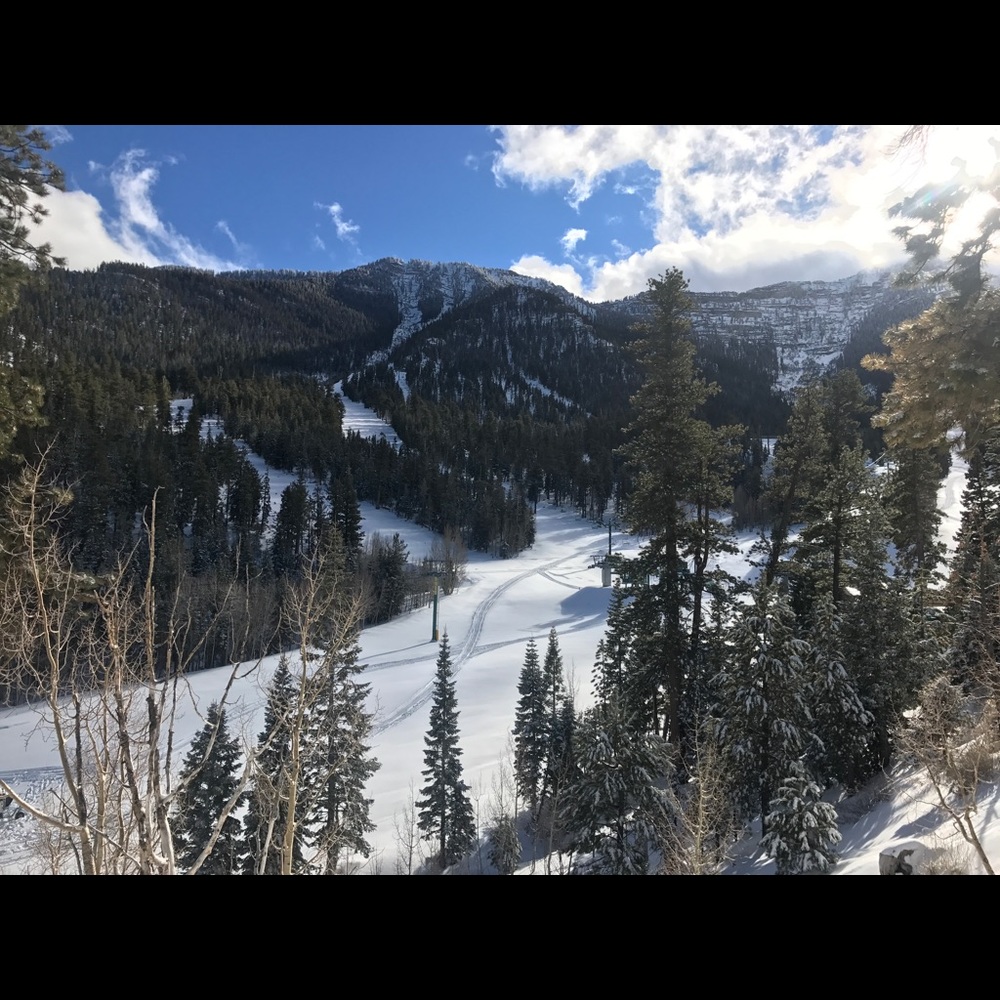 Meet your Posher, Ed